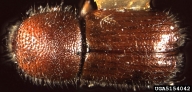 5154042