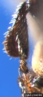 5154090