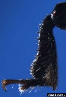 5155058