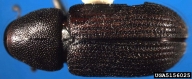 5156025