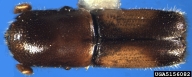 5156082