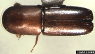 5156088