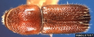 5157057