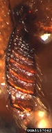 5157062