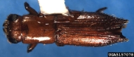 5157078