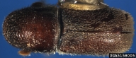 5158005