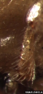 5158014