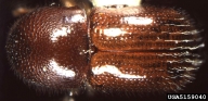 5159040