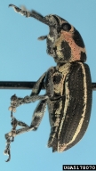 5178070