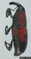 5178092