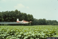 5198072