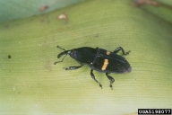 5198077