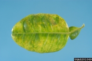 5201069