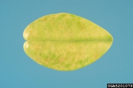 5201079