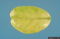 5201080