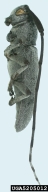 5205012