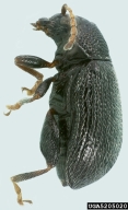 5205020