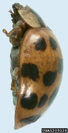 5205026
