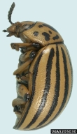 5205030