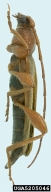 5205046