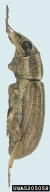 5205058