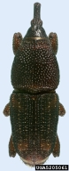 5205061