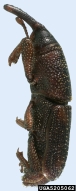 5205062