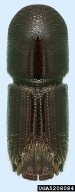 5208084