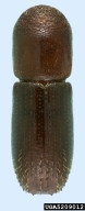 5209012