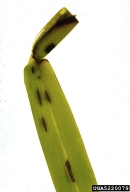 5220079
