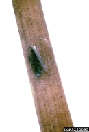 5220095