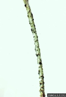 5222093