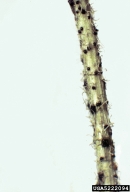 5222094