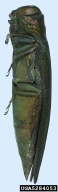 5284053