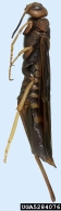 5284076