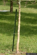 5304080