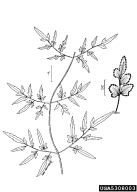 5308003