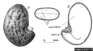 5308079