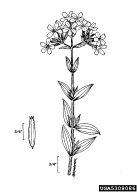5308086