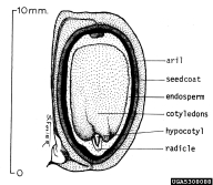 5308088