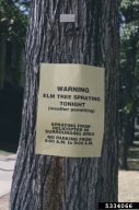 5334066