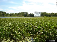 5344034