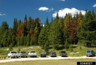 5346027