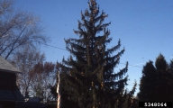 5348064