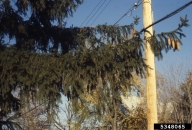 5348065