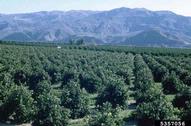 5357056