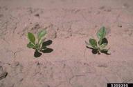 5358395