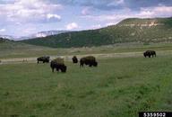 5359502