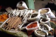 5360086