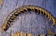 5360730